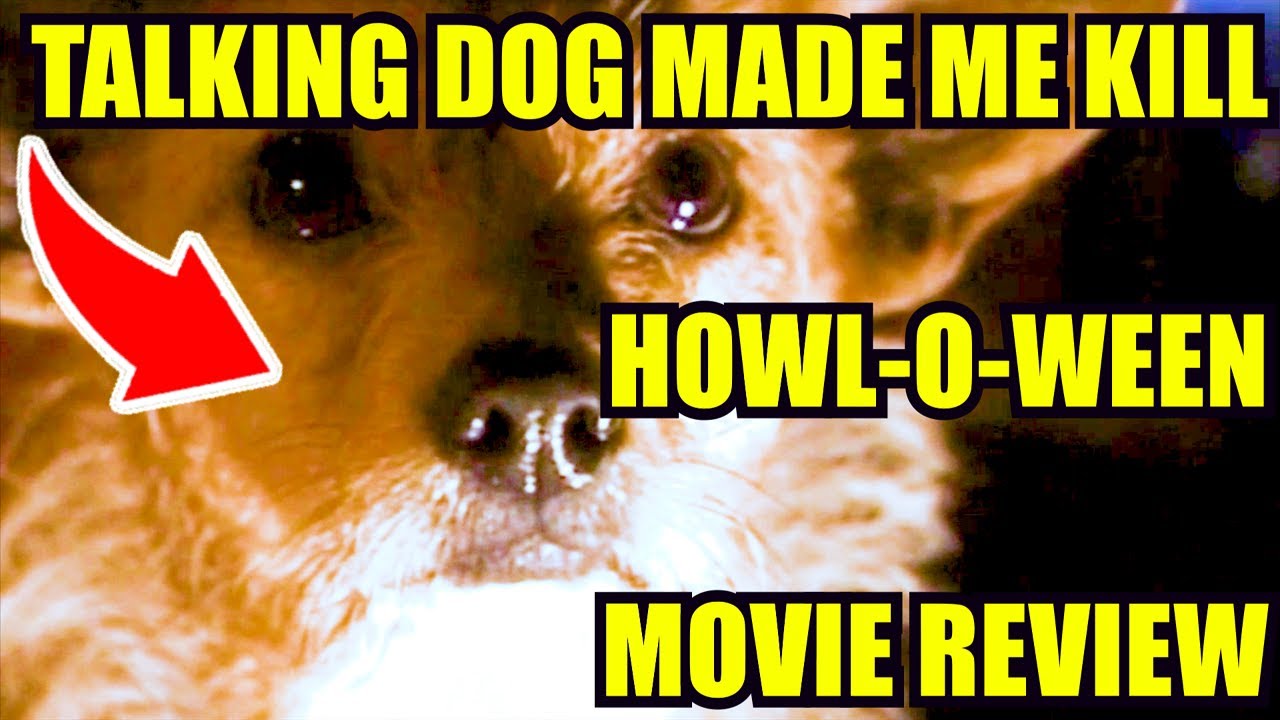 Lucky Movie Review My Dog Made Me Do It, The Incel Killer With A