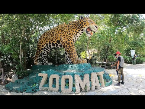 Zoológico Miguel Álvarez del Toro, Chiapas