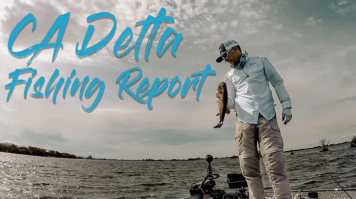 Ca Delta Fishing Report September 2017