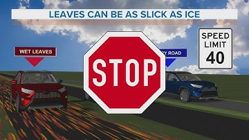 The dangers of leaves on the roadway