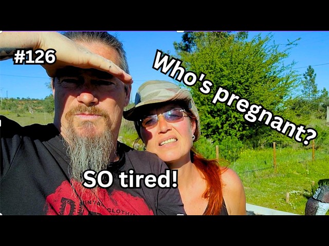 Building and growing on our homestead #127