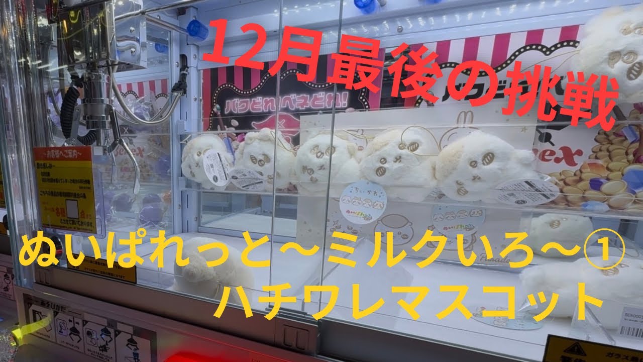 【ちいかわ】これで最後!12月最後のプライズ！ぬいぱれっとマスコットハチワレに挑戦！「ミニクレーン」