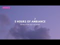 Texas Hill Country journey to help you fall asleep. #ASMR. #Ambiance.