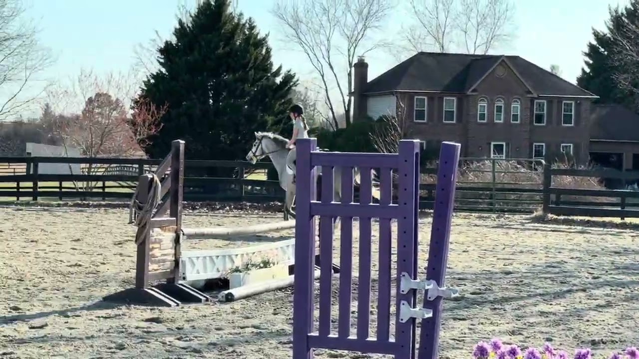 Picturesque Hidden Gem with young rider - www.picturesquefarm.com