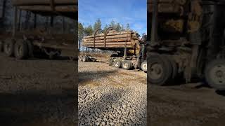 Unloading log truck Volvo 330
