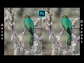 💻 Aprende a ELIMINAR OBJETOS indeseados en tus fotografías | Fotografía de naturaleza ✔️ | Photoshop