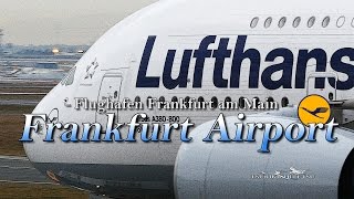 【4K】Special !! UltraHD 4Hour!! in Frankfurt Airport 2016 the Amazing Airport Spotting