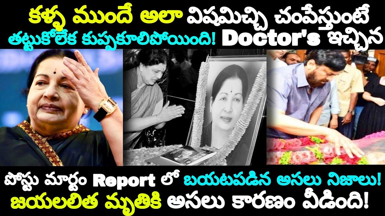 జయలలిత గారి 80 వేల కోట్ల ఆస్తికి అసలు వారసుడెవరో తెలుసా? || The Life Of Jayalalitha 