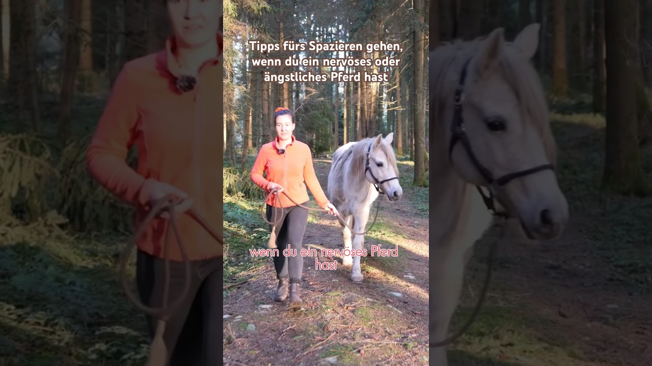 Tipps fürs Spazieren gehen, wenn du ein nervöses oder ängstliches Pferd hast.
