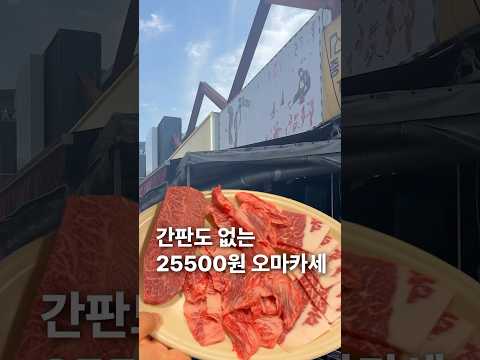 별들의고향