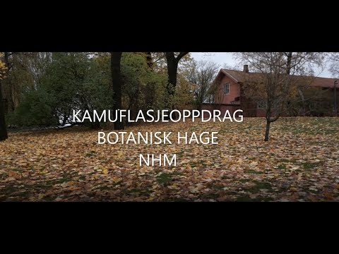 Video: Nikitsky Botaniske Hage