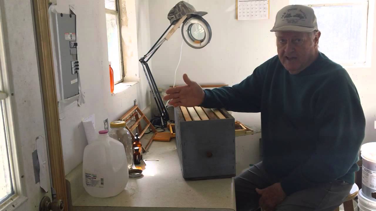 HOW=TO=SET UP BAIT BOXES YouTube