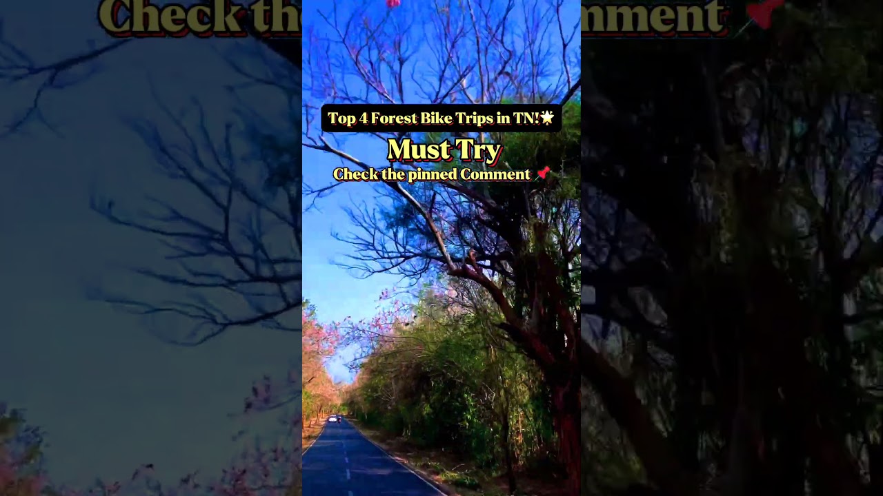 கண்டிப்பாக போகவேண்டிய😲Top4 Forest Bike Trips in TN | best destination to travel in india |#bewithkv