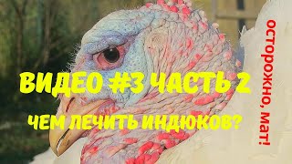 Выращивание индюков. Лечение,  профилактика болезней. Продолжение обзора лекарств.  Видео №3 Часть 2