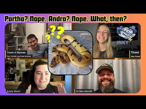 This Snake's Genetics