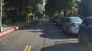 Pedestrian detection Demo