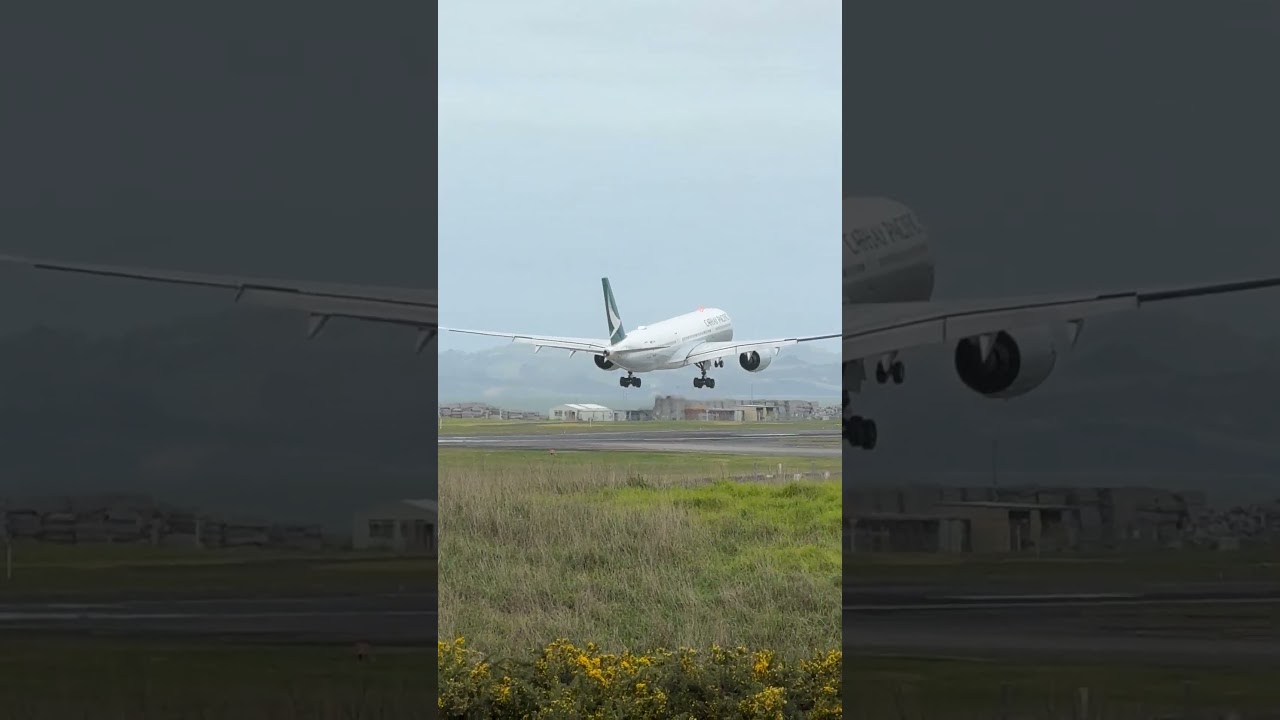 Perfectly smooth A350 landing at Auckland #aviation #cathaypacific #landing