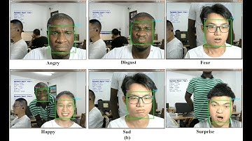 Real-time Facial Emotion Recognition with CNN (2020) from Normal Camera and Videos For Subject 7: