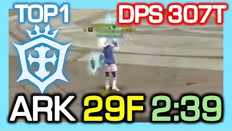 TOP1 Crusader ARK 29F 2:39 / DPS 307 Trillion / ARK Contest S1 / Dragon Nest China