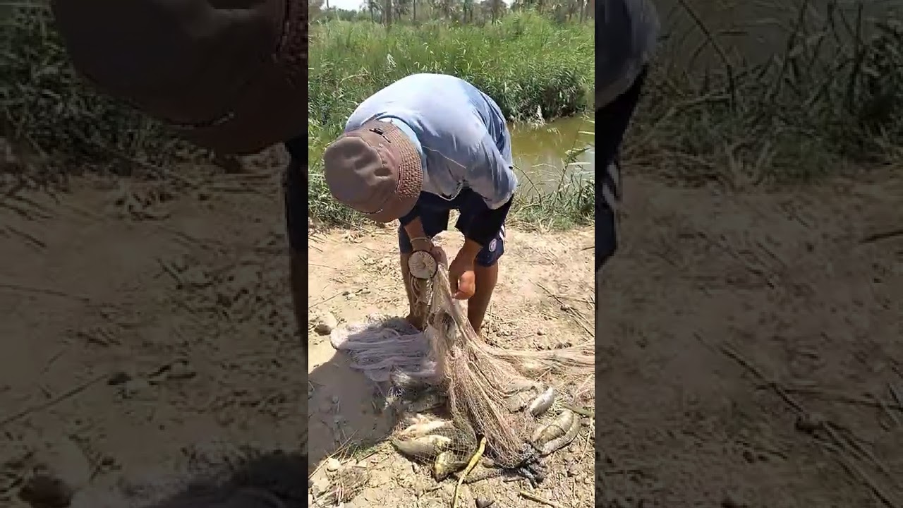 صيد سمك بحر النجف بلسليه