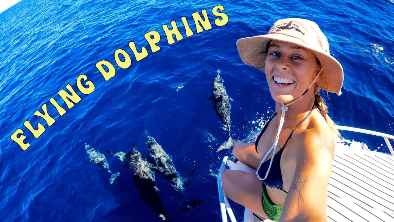 Ep. 56 DEEP SEA FISHING FOR RUBY SNAPPER | 1000 DOLPHINS