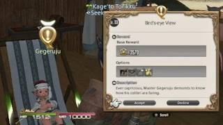 FF14 - SQ - Bird's-eye View - Lv.33