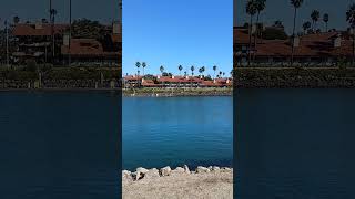 triste corazon #musica #grupo forajido #música grupera#para siempre #beach #sky blue #music