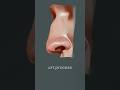 art process Reference study | NOSES #digitalart #speedpaint #drawing