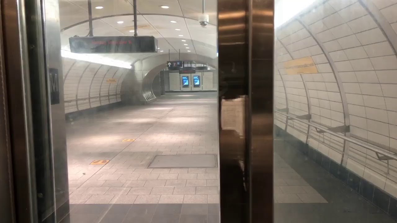 🔴 The High Line Park | Manhattan NYC