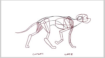 Quadruped Animation WalkCycle-1 Aug19 Keys