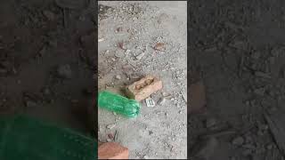 Celebrity Normal brick test| checking brick quality| how to check quality of brick #construction #brick #site Profile