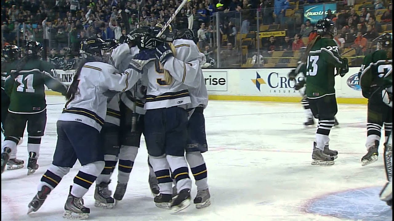2014-miaa-hockey-state-tournament-finals-youtube