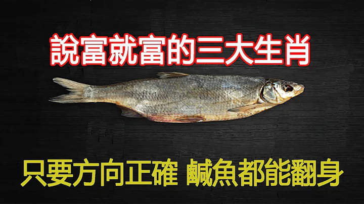 咸鱼翻身说富就富的三大生肖！生肖羊 生肖虎 生肖鼠如何遇到贵人，投资理财，成为支柱！【2024】【佛语】 - 天天要闻