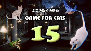 【猫用動画MIX15】カエル・ネズミ・鳥 30分 GAME FOR CATS 15