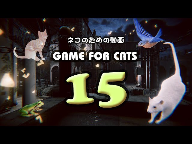 猫用動画MIX15】カエル・ネズミ・鳥 30分 GAME FOR CATS 15 - YouTube