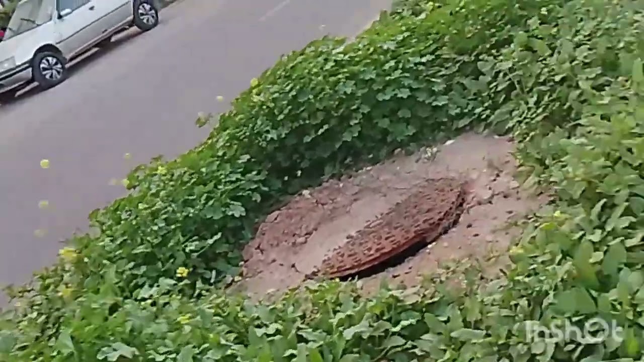 10 فبراير 2026