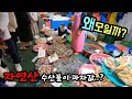 김포 대명항 어시장 자연산 수산물이 과자값? 가성비 수산시장! 출발전 꼭 참고하세요.Korean fish market channel.