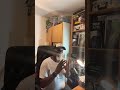 Live highlight