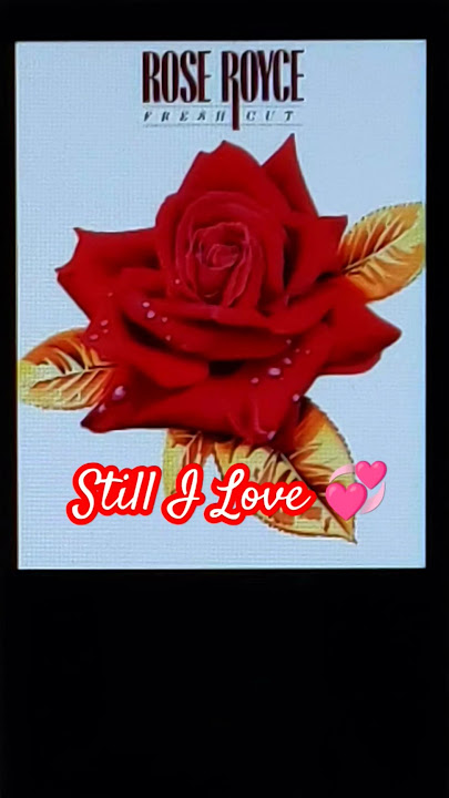 Rose Royce 'Still In Love'