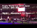 Rugby world cup 2019   blooming in the dawn 