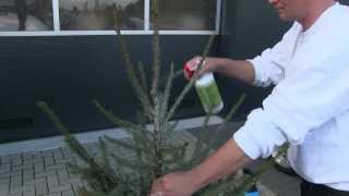Alfastop Kerstboom Impregneer Voor Particulier Gebruik Instructie Tutorial