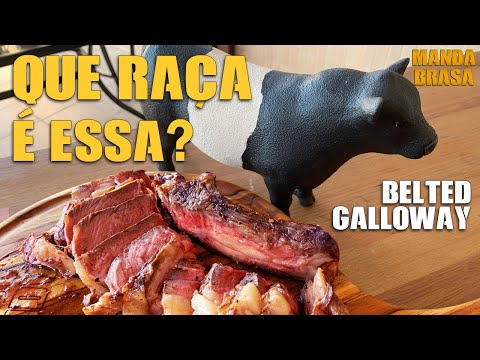 Vídeo: Quanto custa uma vaca galloway com cinto?
