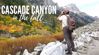 Hiking Cascade Canyon in Grand Teton National Park!! (our NEW favorite hike!)