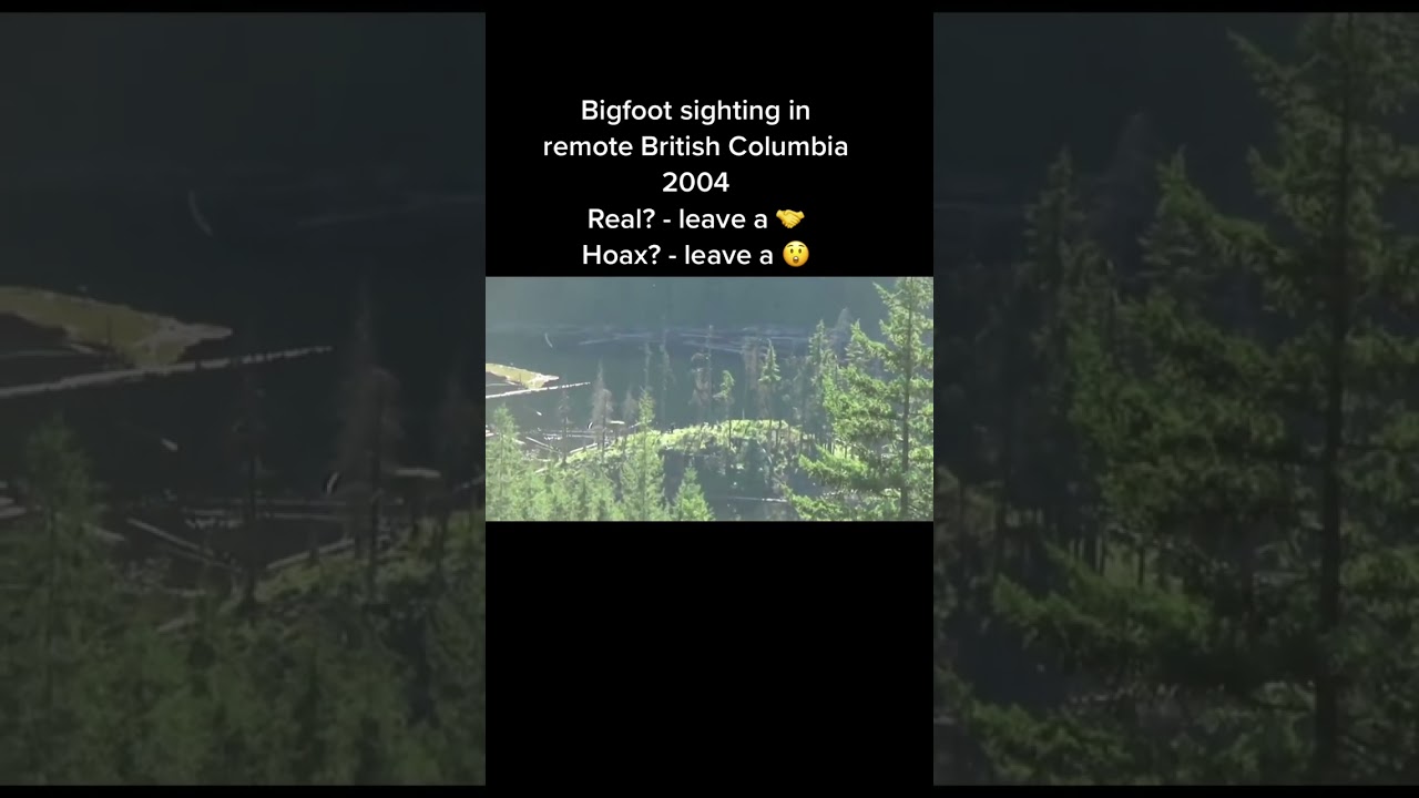 British Columbia Bigfoot Sighting Video #shorts
