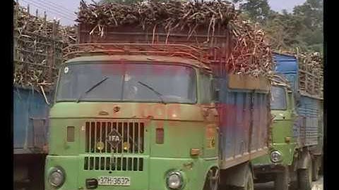 SXSH trong ngành mía đường