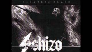 Schizo - 08 Shine of Scars.wmv