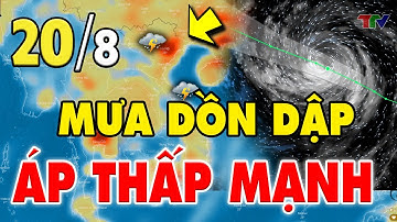 Dự Báo Thời Tiết Đêm Nay Và Ngày Mai 20/8: Miền Bắc Mưa Rào Và Dông, Cục Bộ Có Mưa To