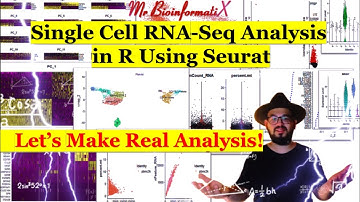 Single Cell RNA-Seq Analysis in R With Seurat|ScRNA-seq Analysis Seurat|Bioinformatics for Beginners