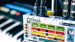 Töörö Digilog Synthesizer | A modern Wavetable with Analog Filters, yes! That doesn&#39;t cost a house..