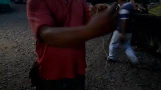 Como poner un bocado de cabuya o fique